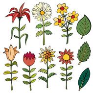 Various summer flowers N13