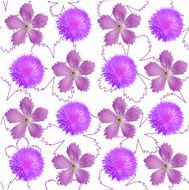 Flower card N8