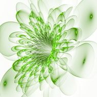 Beautiful green flower on white background Computer generated g