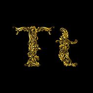Decorated letter &#039;t&#039;