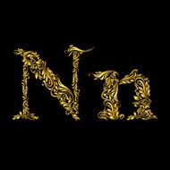 Decorated letter &#039;n&#039;