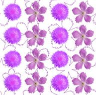 Flower card N9