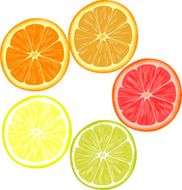 Slices of different citrus fruits on a white background N3