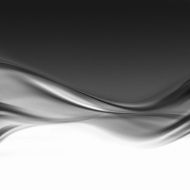 black and white N13