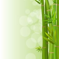 Colorful Stems and Bamboo Leaves Background Vector Illustration N2
