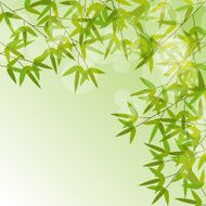 Colorful Stems and Bamboo Leaves Background Vector Illustration N3