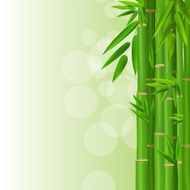 Colorful Stems and Bamboo Leaves Background Vector Illustration N4