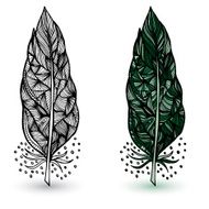 Decorative feathers Hand drawn vector illustration