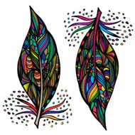 Decorative feathers Hand drawn vector illustration N2