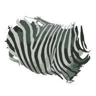 Zebra print for your design N2