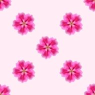 Beautiful Flowers N9