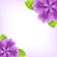 Purple Flower N2