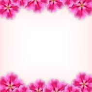 Beautiful Flowers N10