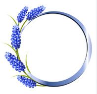 Holiday background with blue flowers Vector N2