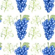 Watercolor grape in vintage style