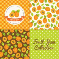 Homemade apricot jam collection