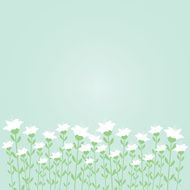 White flower decoration