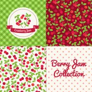 Homemade cranberry jam collection