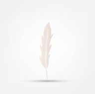 Feather icon