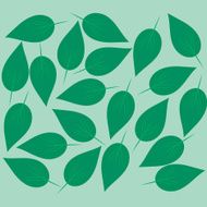 green leaves background N7