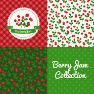 Homemade cowberry jam collection