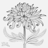 Floral Elements for design N20