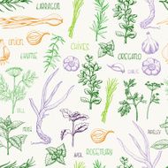 Seamless pattern with herbs and spices N2