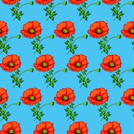 illustration seamless background of poppies on a blue