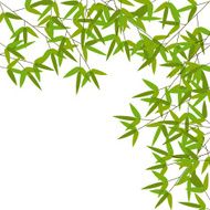 Colourful Bamboo Leaves Vector Illustration
