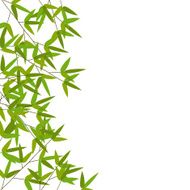 Colourful Bamboo Leaves Vector Illustration N2