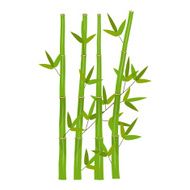 Colorful Stems and Bamboo Leaves Vector Illustration N7