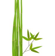 Colorful Stems and Bamboo Leaves Vector Illustration N8
