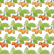 Vector Rosehip Sosa Berries Stripes Seamless Pattern