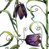 Wildflowers N5