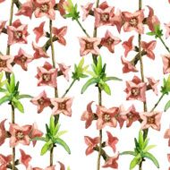 Wildflowers N10