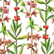 Wildflowers N11