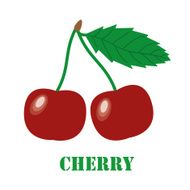 Cherries isolated object vector