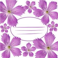 Flower card N12