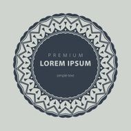 Vector set outline emblems and badges - abstract hipster logo N15