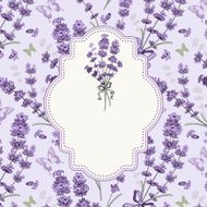 Lavender card N2