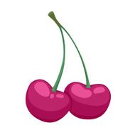 Dark pink cherries simple cartoon style vector illustration