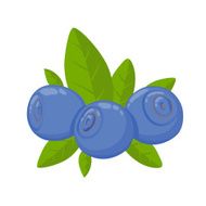 Blueberry simple cartoon style vector illustration
