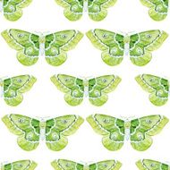 Watercolor butterflies pattern N4