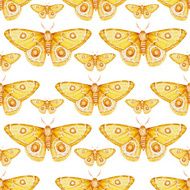 Watercolor butterflies pattern N5
