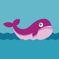 Whale N17