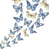 The flying-up watercolor butterflies Vector