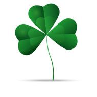 Green shamrock three leaf clover vector