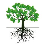Tree with Roots and Green Leafs