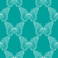 butterfly pattern7