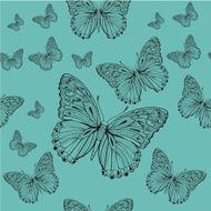 butterfly pattern N26